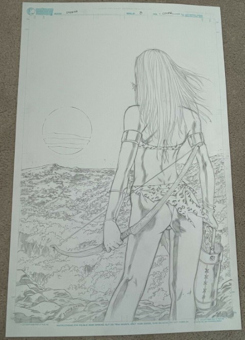 Sheena #8 Cover - unpublished by Tim Seeley